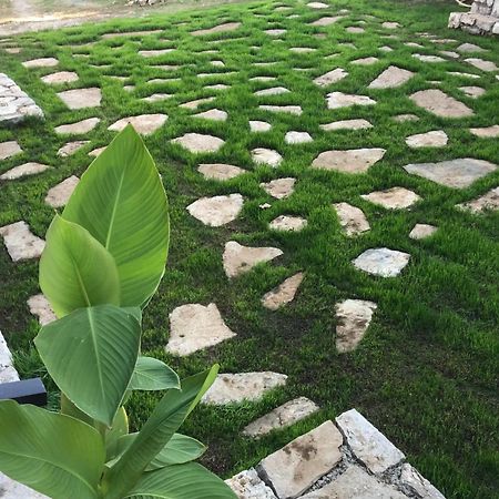 Green Silence - Vuk Podgoriçe Dış mekan fotoğraf