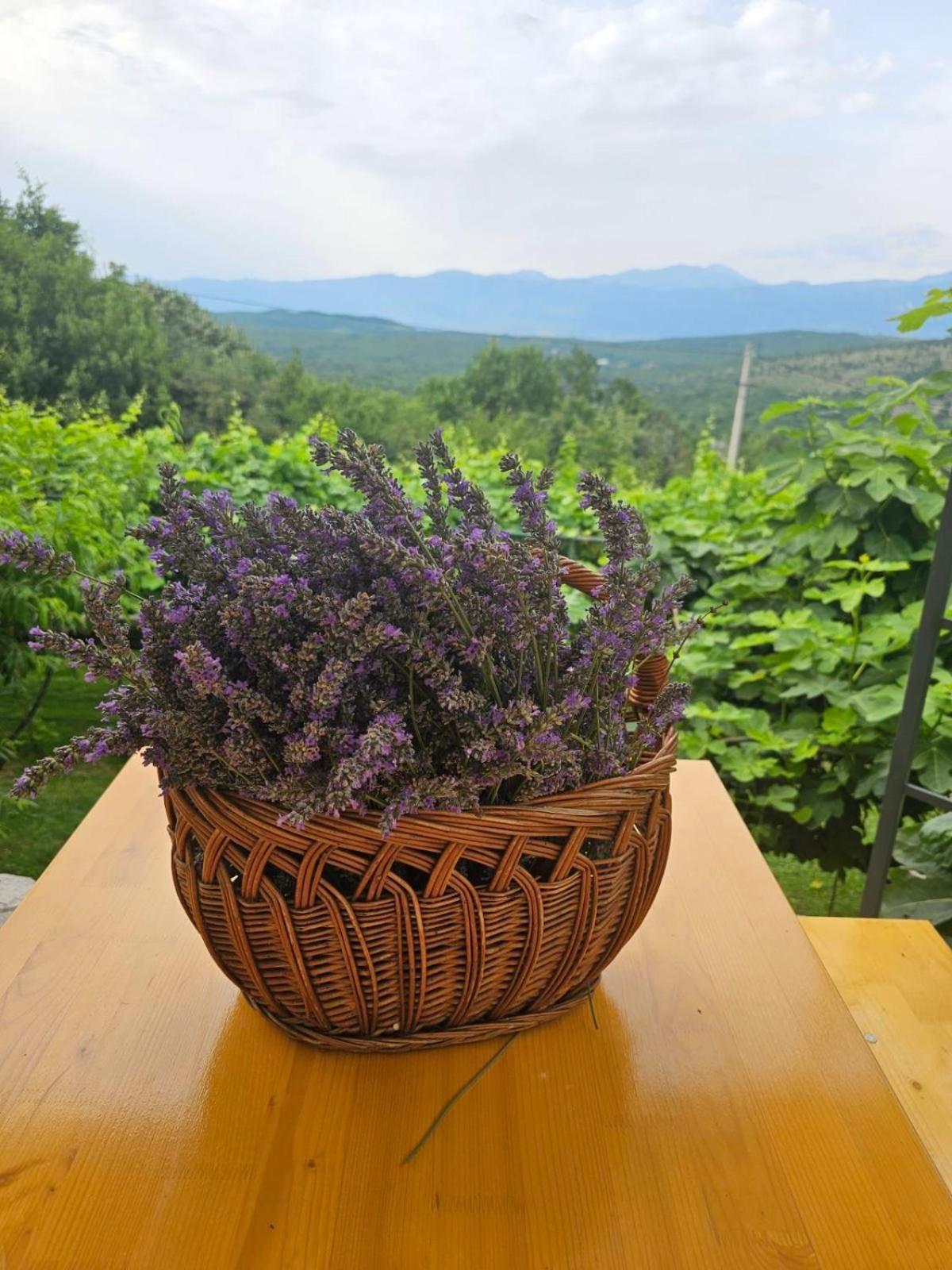 Green Silence - Vuk Podgoriçe Dış mekan fotoğraf