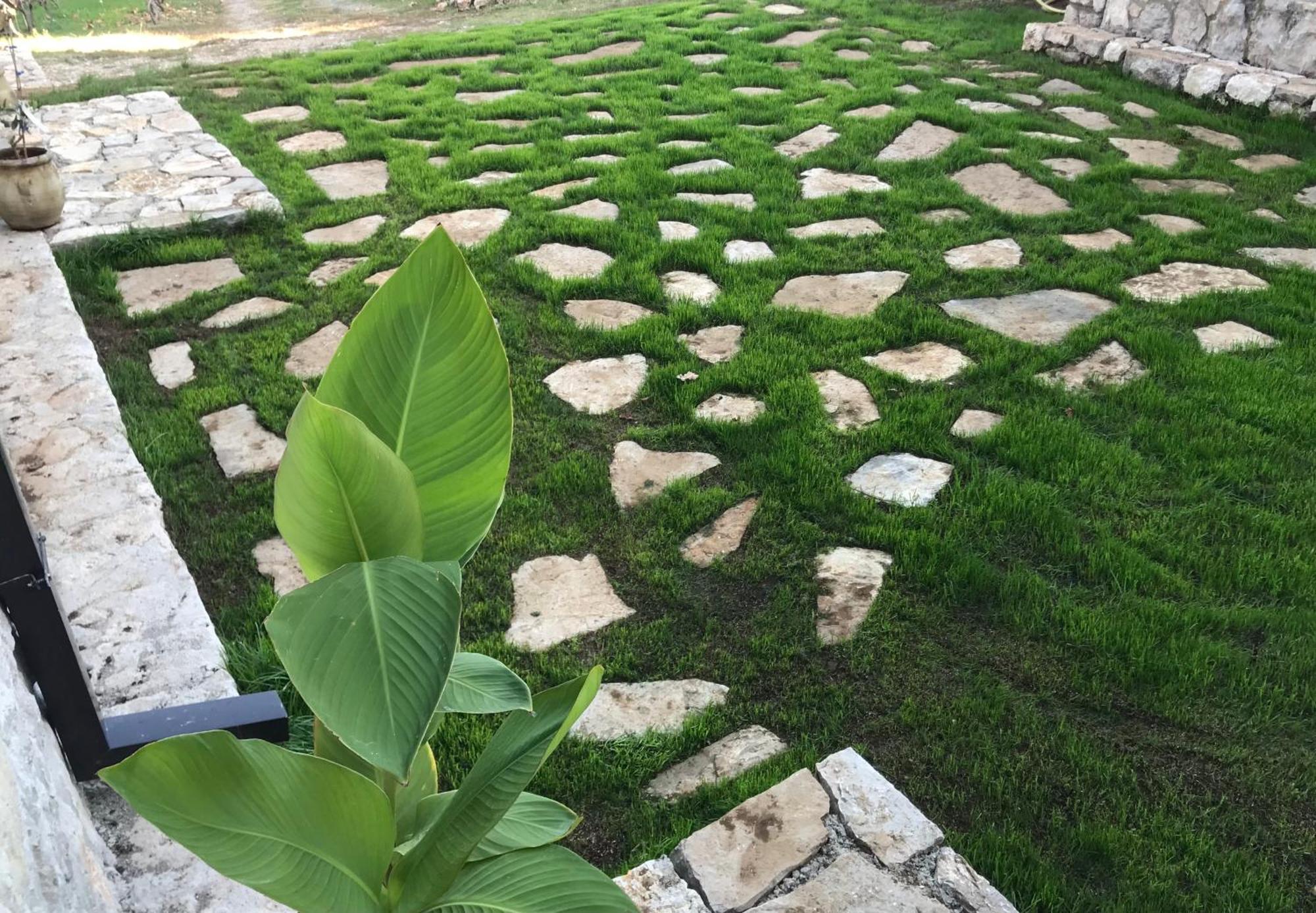 Green Silence - Vuk Podgoriçe Dış mekan fotoğraf