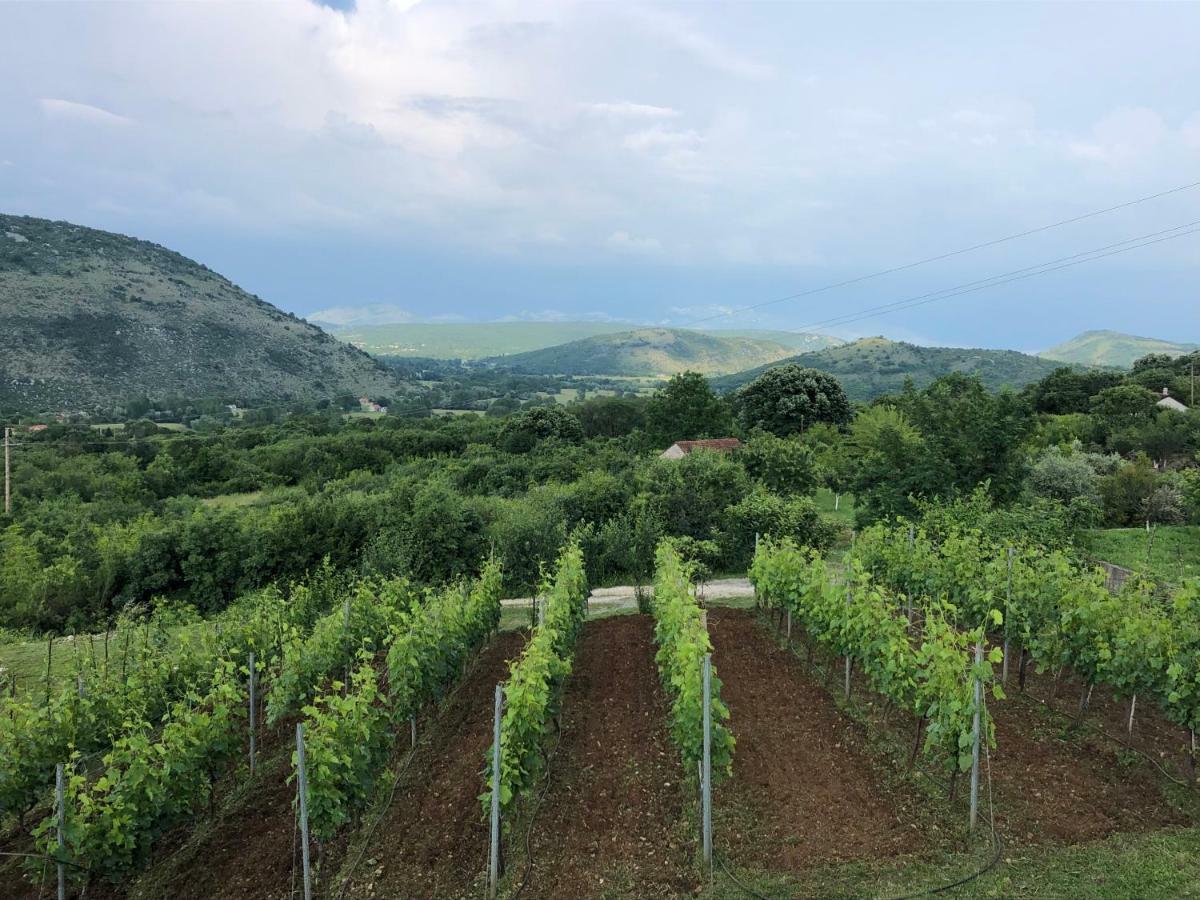 Green Silence - Vuk Podgoriçe Dış mekan fotoğraf