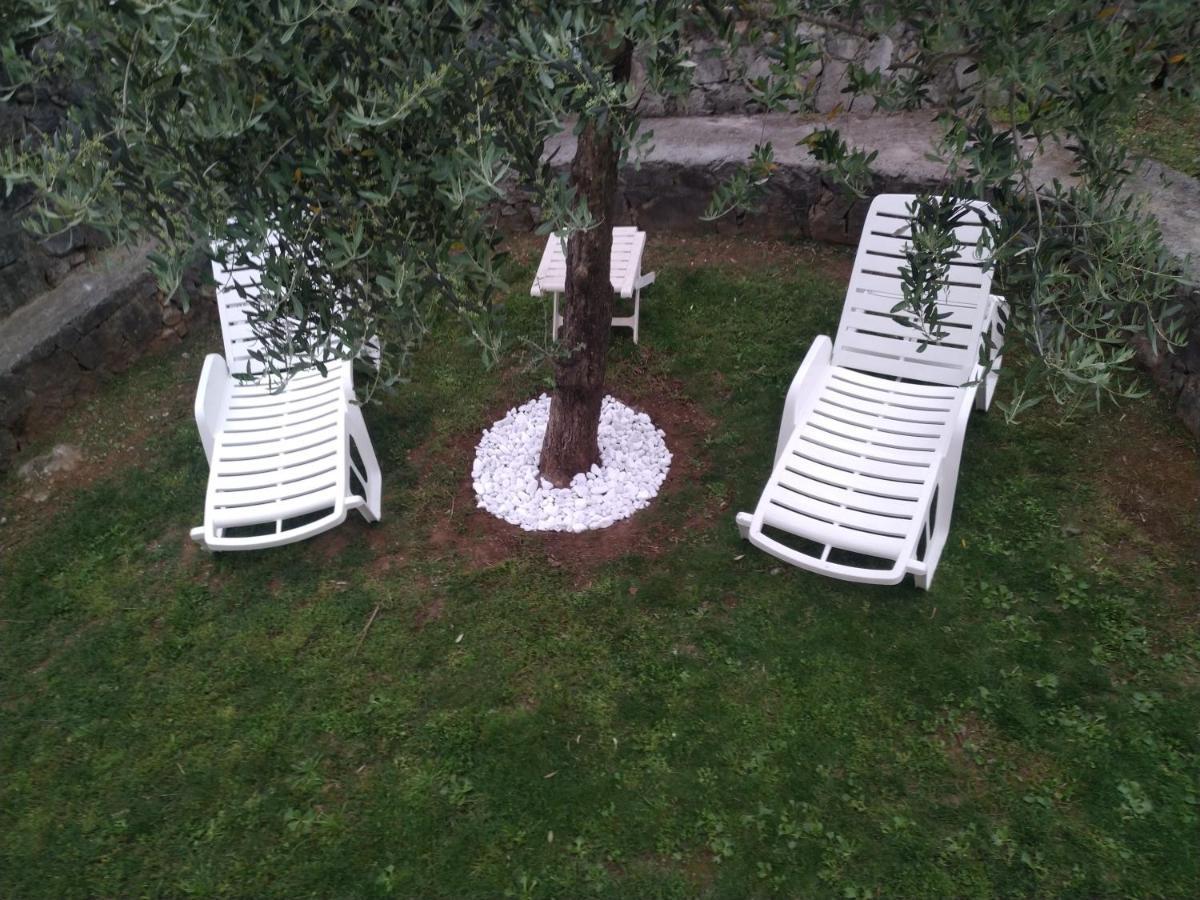Green Silence - Vuk Podgoriçe Dış mekan fotoğraf
